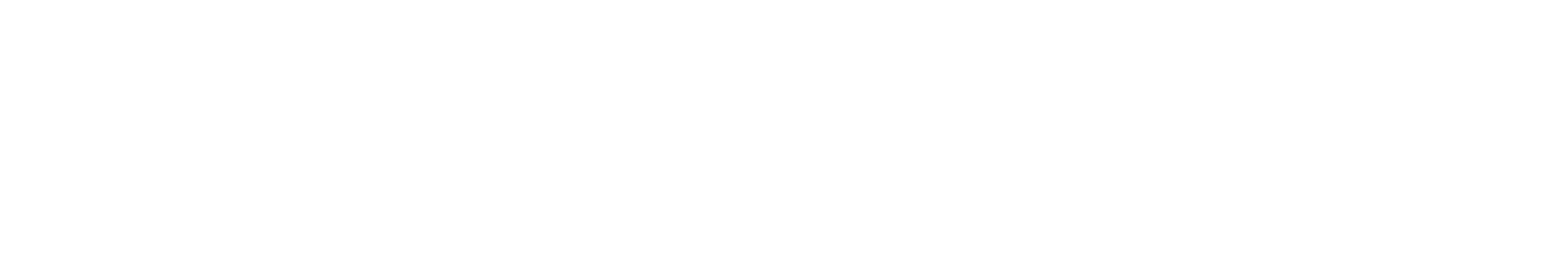 big logo primary white
