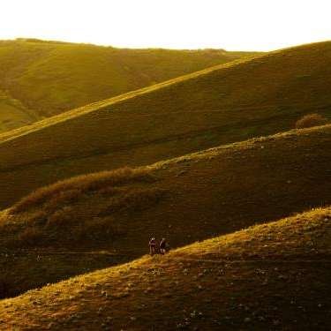 Burbidge Investment Group - Home